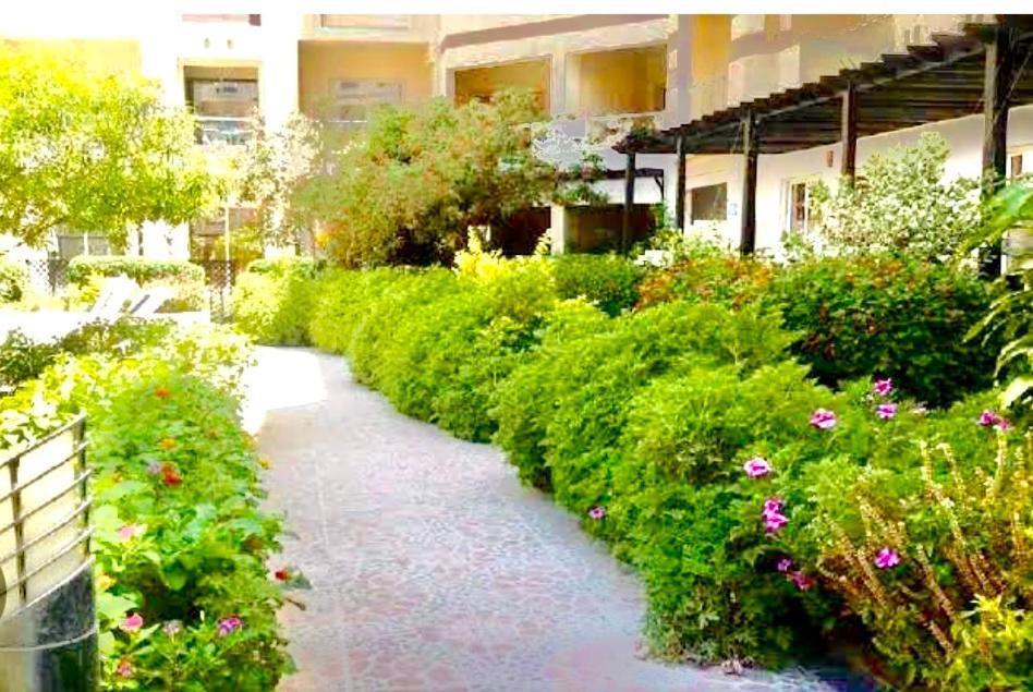 Sunny Studio With 3 Swimming Pools Florenza Hurgada Dış mekan fotoğraf